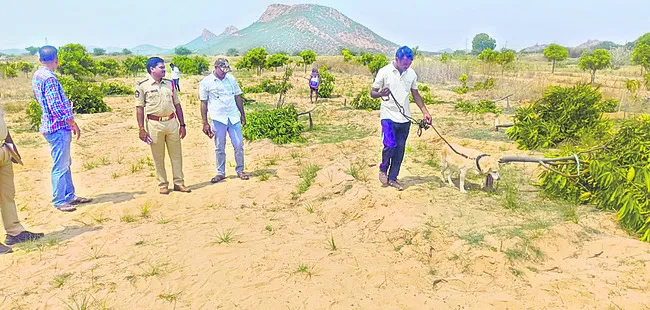చర్చి