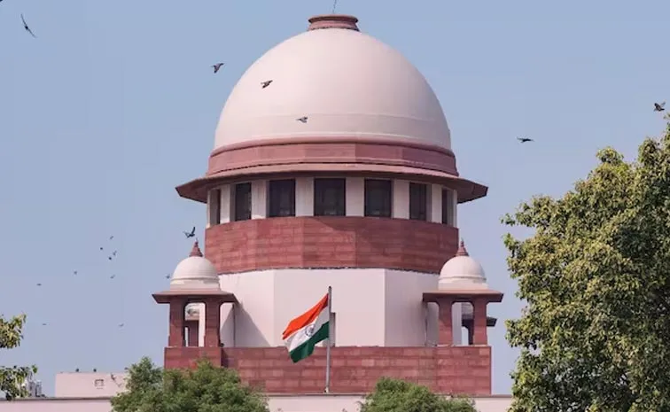 Supreme Court Serious Madhya Pradesh High Court for refusing bail