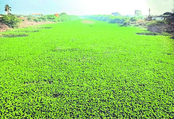 కన్నీ