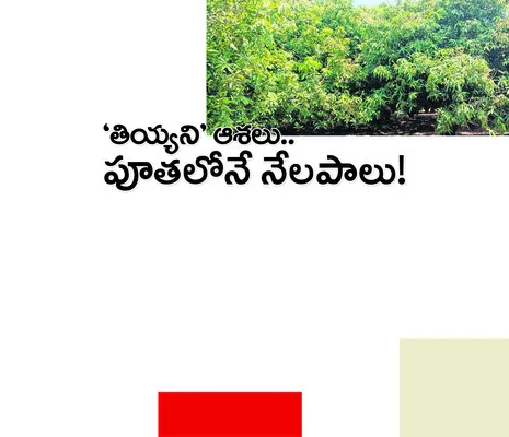 కర్నూ