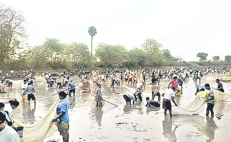 whole villagers catching fishes in kothagudem