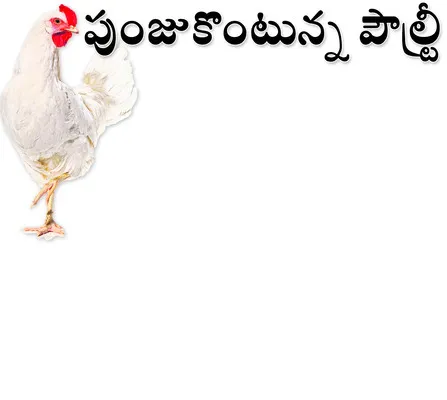 కొండె