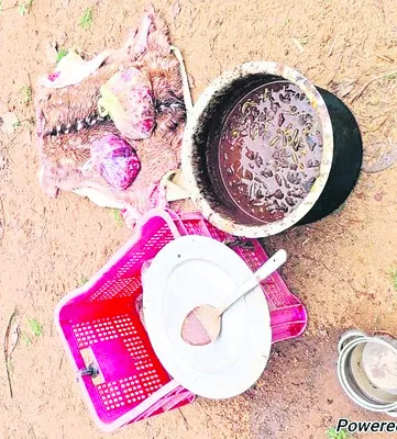 వన్యప్రాణి వధ!