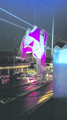 ఫీడర్