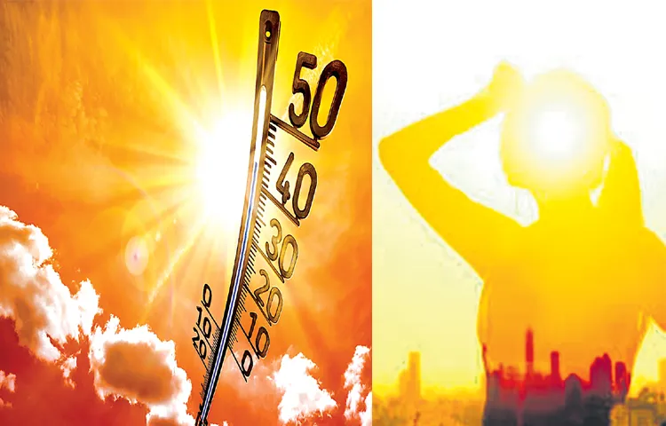 Severe heatwaves increased in 2024