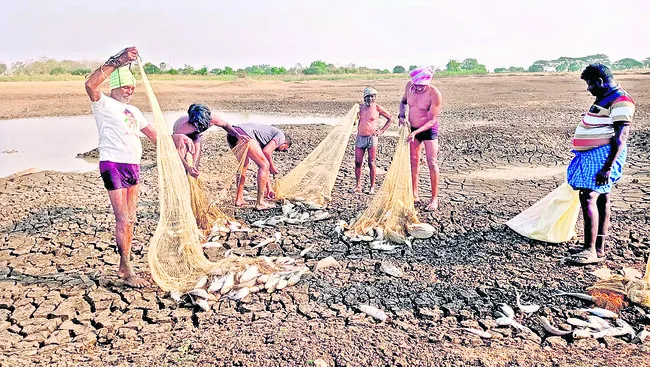 చిక్క