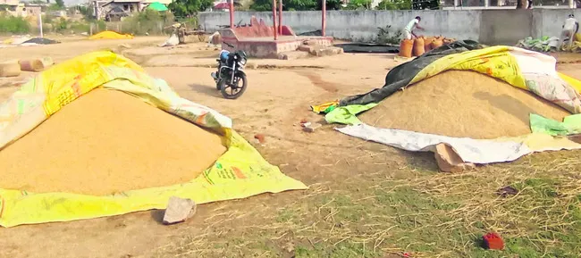 దొడ్డు వడ్లు కొంటలేరు సారూ!