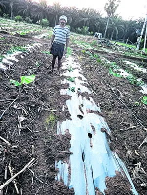 కొంపమ