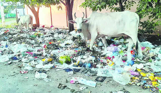 ధరణీ