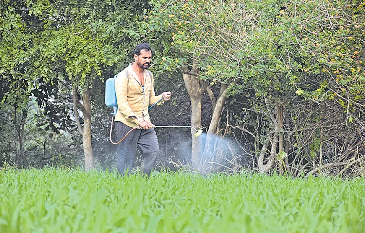 Toxic heavy metals in agricultural soil