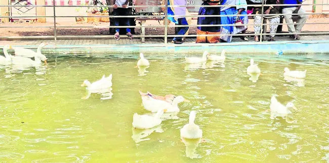 వారెవ