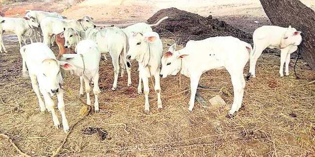 మళ్లీ