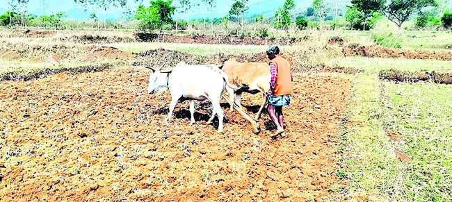సాయమేది బాబూ!