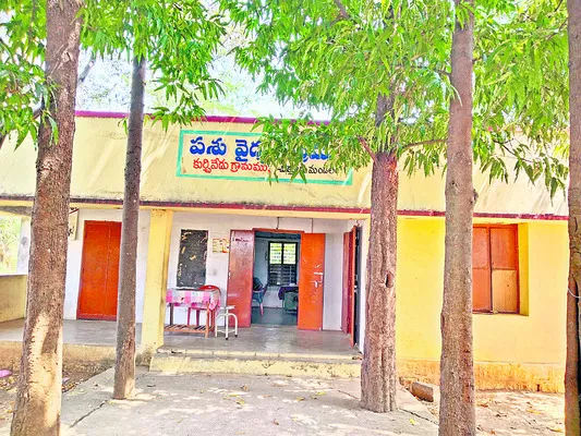 మూగవే