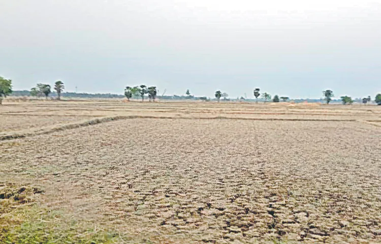 Doubt over Nalamvari Inn land auction
