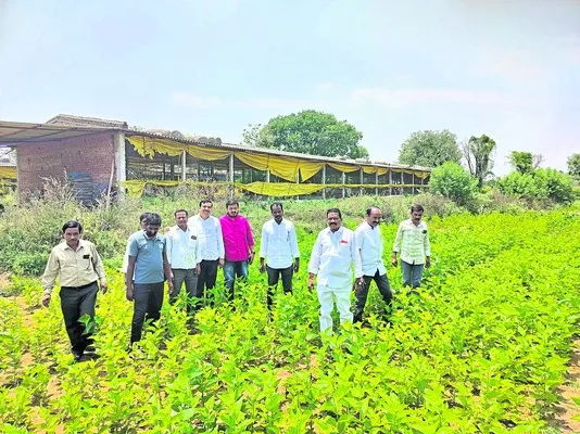 సిరుల