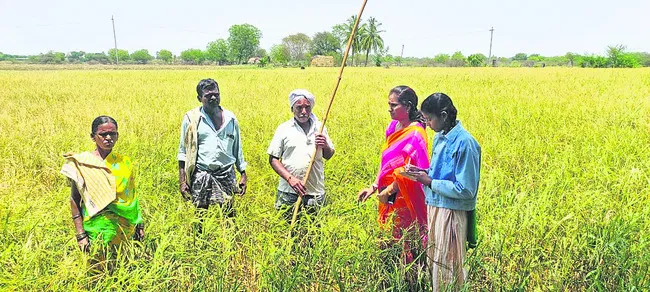 నష్టం