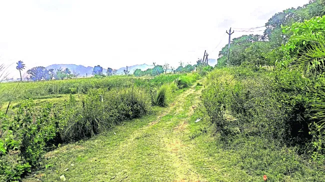 మార్గ