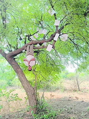 వేపచెట్టుకు వినతులు కట్టి..!