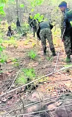 కర్రి