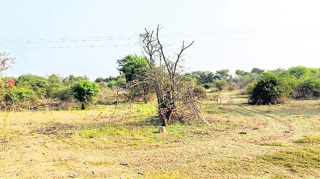 చెరువులకు నీటి గండం