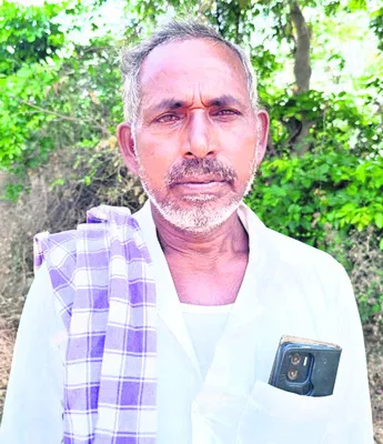 కౌలుక