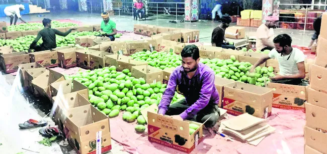 మామిడి రైతుకు.. మార్కెట్ కష్టాలు
