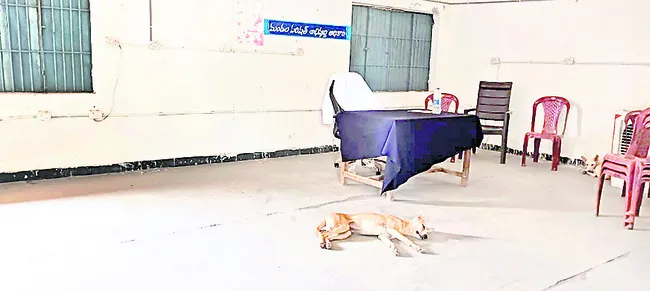 ఎంపీడీఓ చాంబర్లో కునుకు తీసిన కుక్క