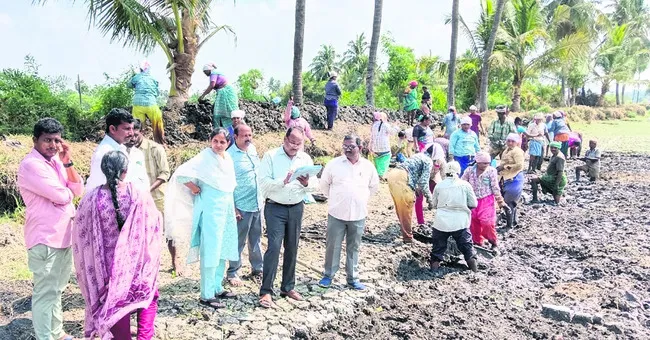 ఉపాధి పనులు పారదర్శకంగా జరగాలి