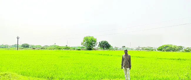 పెద్ద