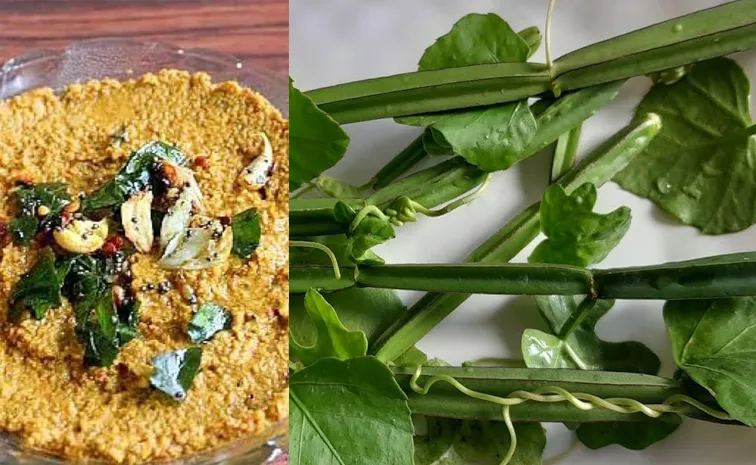 nalleru pachadi receipe and amazing benefits