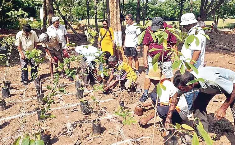 Miyawaki technique 2000 plants planted in mumbai