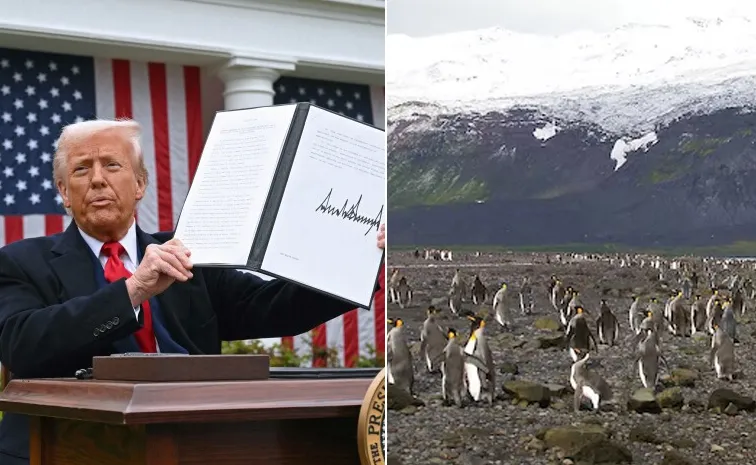 Donald Trump Tariffs On Heard and McDonald Island