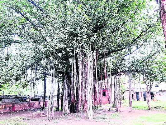 సంగీత