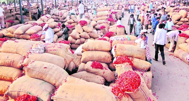 మిర్చి కొనుగోళ్లపై ఆరా