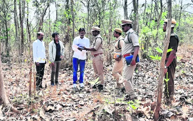 టేకు ప్లాంటేషన్ సంరక్షణకు ప్రాధాన్యమివ్వండి