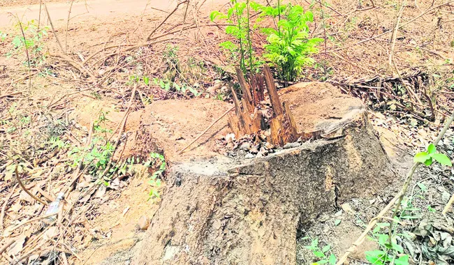 స్వాహ
