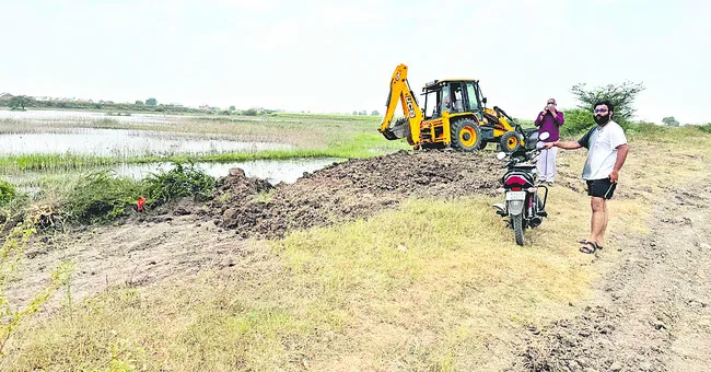 బరితె