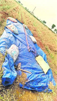 కోతకు
