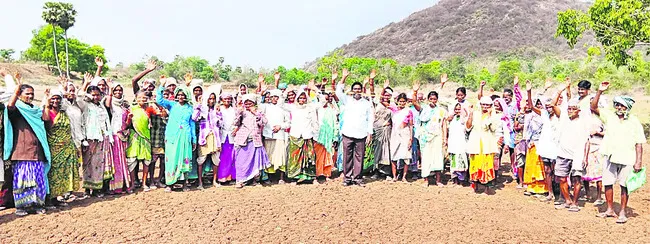 కూలెప