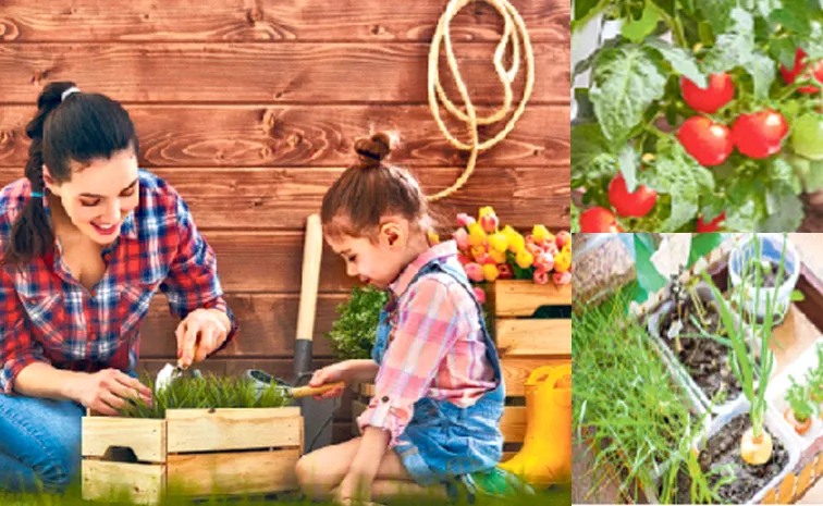 Do you know how to motivate children with a kitchen garden?