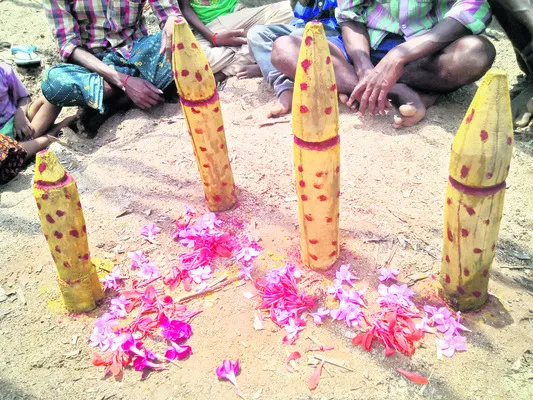 అడవి