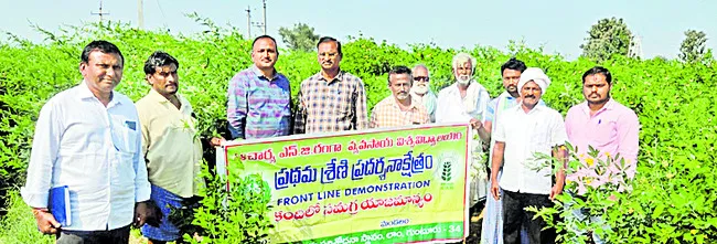 కంది