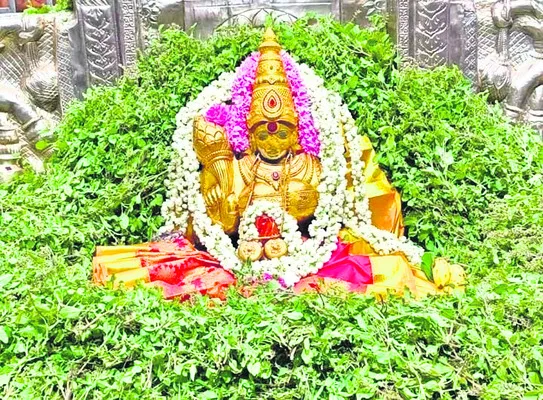 సిరులతల్లికి తులసిపూజ