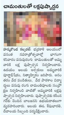 చామంత