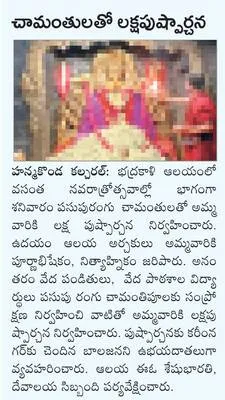 చామంత