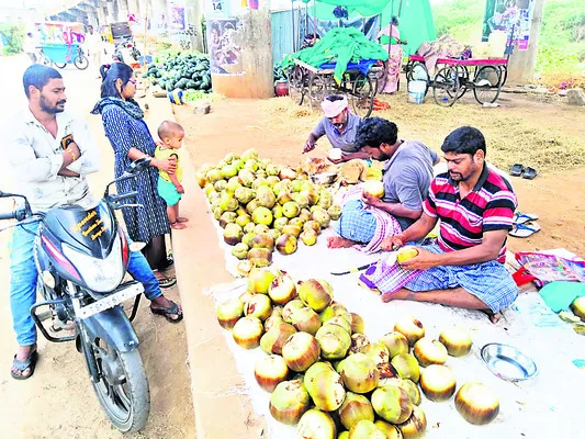 తాటి