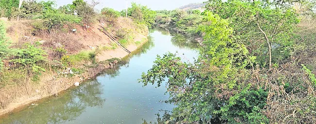 రాజీవ