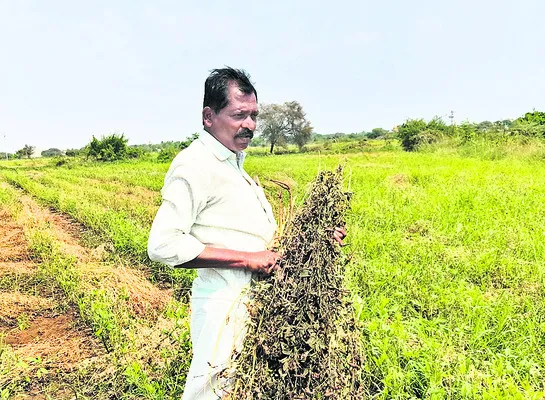 కక్ష