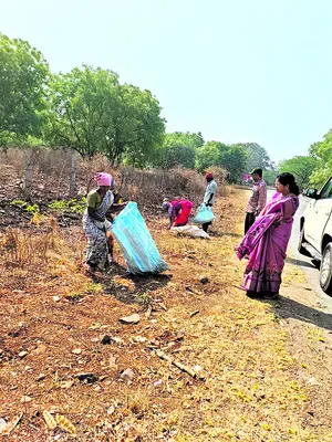 పనులు